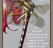 In hierdie jaar... by Rina Greeff