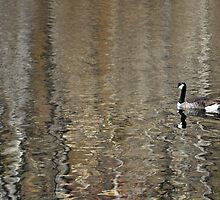 The Lonely Traveler by Gretchen Dunham