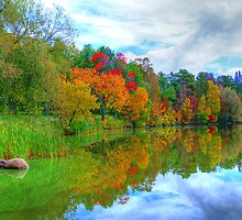 Excellence in Light & Reflection by JohnDSmith
