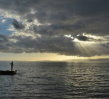 A Miracle of Life by Linda Cutche