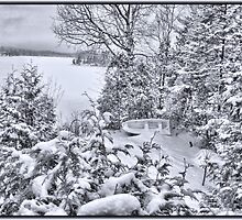 Abandoned and Forgotten - A Dilapidated Fishing Vessel Surrounded by Snowy Pine Trees near a Frozen Lake by Chantal PhotoPix
