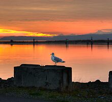 Watching the Sun Go Down by Dale Lockwood