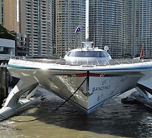 Solar Powered Boat Seen Front On by STHogan