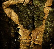 The Broken Woman by Jak Savage (aka Unbeknown)