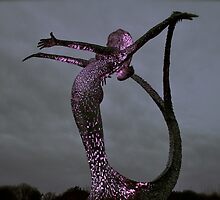 Aria by Jim Wilson