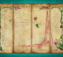 Tulipomania by rnprnk