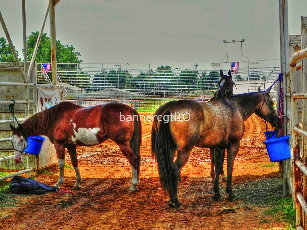 "Horses in the Shade" by bannercgtl10 Redbubble