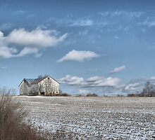 Crop Dusting by Monnie Ryan
