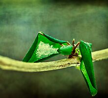 Premature (We're just two lost souls) by DmitriyM