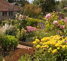 Thelma's garden by Robert Down