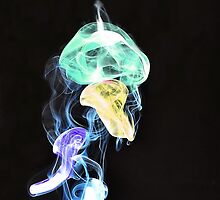 Jellyfish by Del184