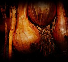 Golden Shallots by Clare Colins