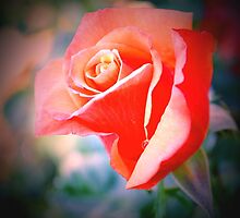 Flower 19 ♥ with Love ♥ by Liza Barlow