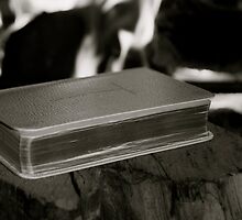 Bear False Witness (Perjury) by Lou Wilson