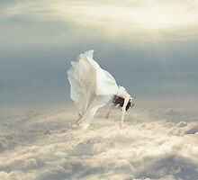 Free Falling Dream by Richard Davis