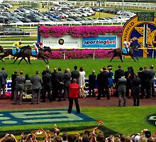 Black Caviar Wins (again) by hurky