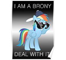 Rainbow Dash Brony Poster
