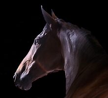 Alert by Jane Horton