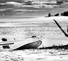 Fishing Boat by Kathryn Steinhardt