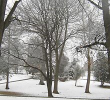 Feb. 19 2012 Snowstorm 17 by dge357