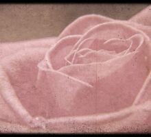 Passion Dies Without Some Tender Meanings by Denise Abé