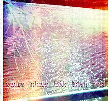 pause inhale look listen feel by vampvamp