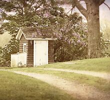 faded summer by thesweetestdays