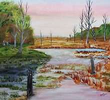 Plach's Marsh by Jack G Brauer