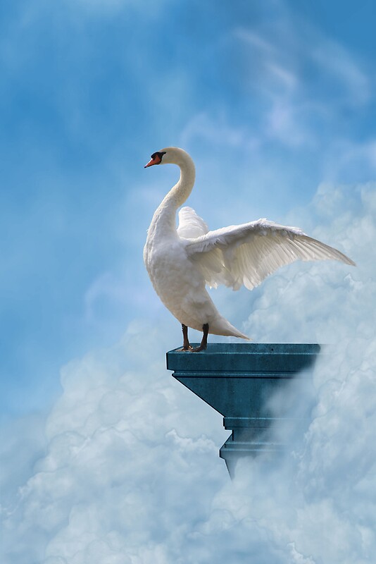 "Swan Dive " Posters by NewfieKeith | Redbubble