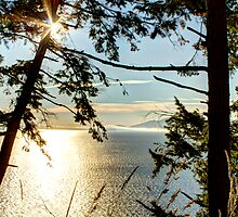 Shining on Golden Bay by Dale Lockwood