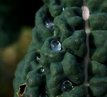 Emerald Skin & Diamond Beads by Honario