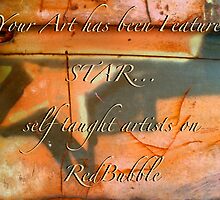 Temp. banner for STAR group.. by linmarie