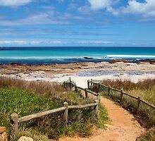 The fairest Cape by Dan MacKenzie