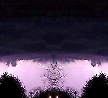 March 19 & 20 2012 Lightning Art 54 by dge357