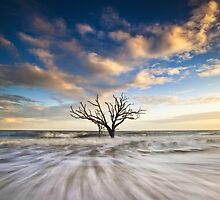 Charleston SC Botany Bay Edisto Island - Alone by Dave Allen