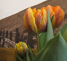 Grocery Store Tulip by trueblvr