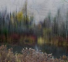 From Reality to a Dream by Robin Webster