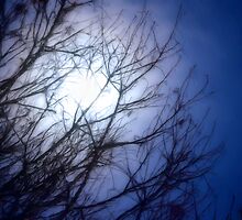 A Blue Moon by Brian Gaynor