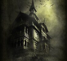 Mystery Light by Svetlana Sewell