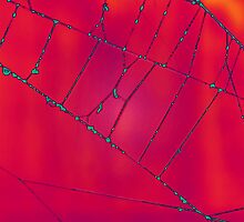 w.lattice by vampvamp