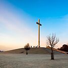 Phoenix Park - Papal Cross in Dublin Ireland by Mark Tisdale