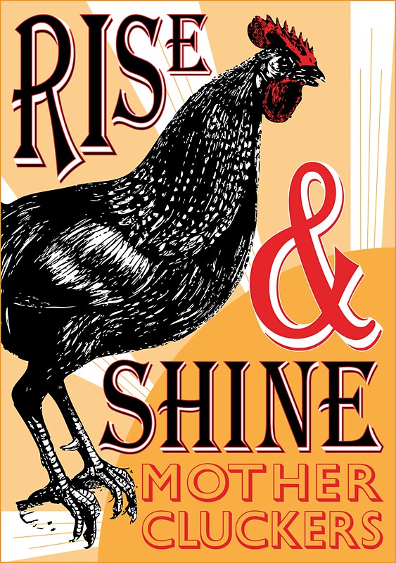  Rise Shine Mother Cluckers Stickers By EclecticAtHeART Redbubble