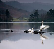 Dawn Display on Rydal Water by Martin Lawrence