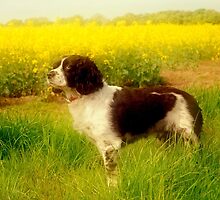 Tasha On The Alert by Stan Owen