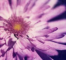 The Poetry Of Pink Petals by Tangerine-Tane