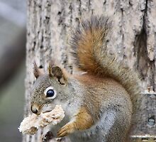 Does this buffet allow take-home? by Heather King
