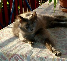 Oh yeah, life is good!! by Margherita Bientinesi