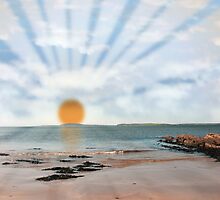 sunny sale by morrbyte
