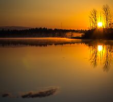 Amazed (Vertical) by Matti Ollikainen