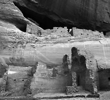 White House Ruin Monochrome by Bob Christopher